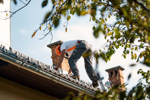 Best Commercial Roofing Services  in Providence, KY