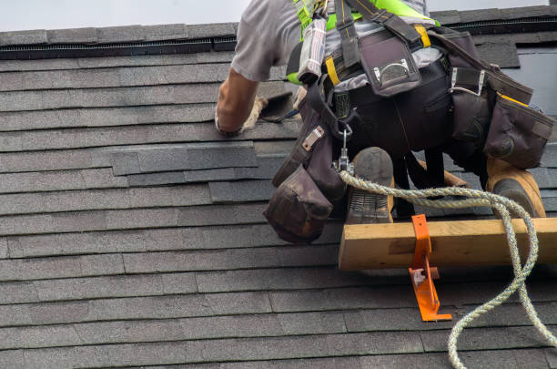 Best Storm Damage Roof Repair  in Providence, KY